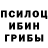 Псилоцибиновые грибы MAGIC MUSHROOMS Nelson Teixeira