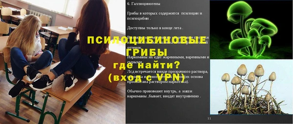 a pvp Аша