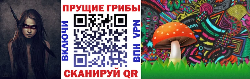 Псилоцибиновые грибы GOLDEN TEACHER как найти закладки Исилькуль